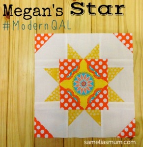 Megan's Star_thumb[3]